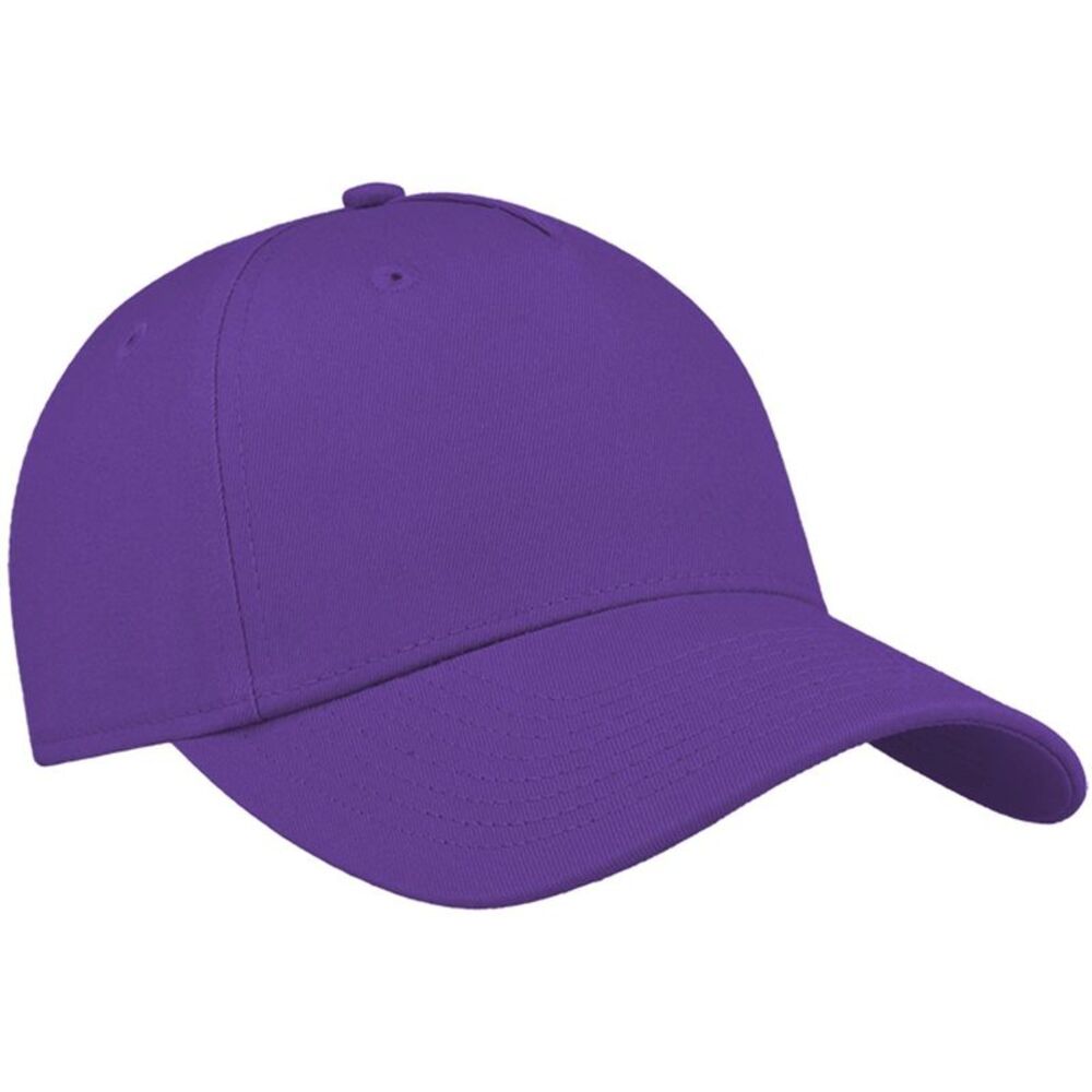 Atlantis Mens Baseball Cap / Purple
